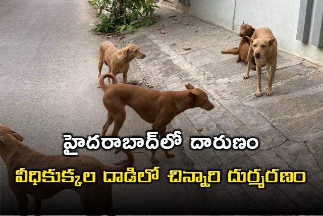 kid dies after street dog attack in telangana