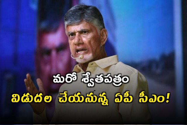 CM Chandrababu to release another whitepaper on law and order status in AP