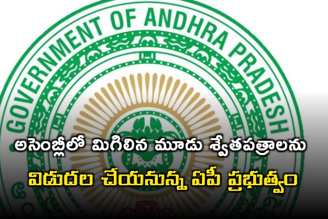 AP government to release three white papers in assmbly