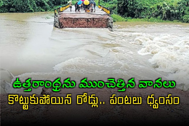 Heavy Rains Lashes North Andhra And Other Parts In Andhra pradesh