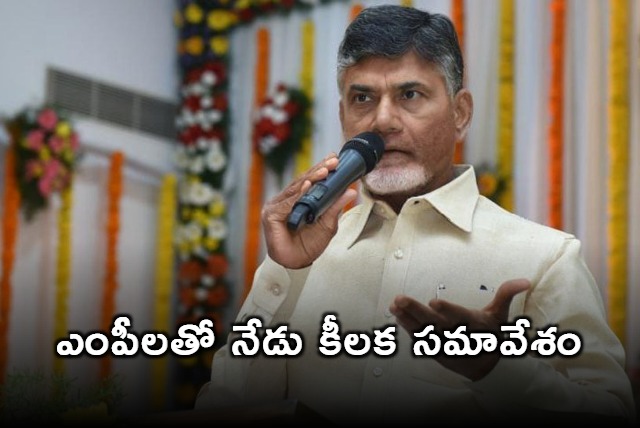 Chandrababu meeting with TDP MPs