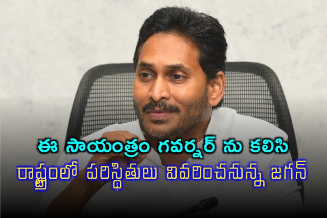 Jagan will meet governor this evening 