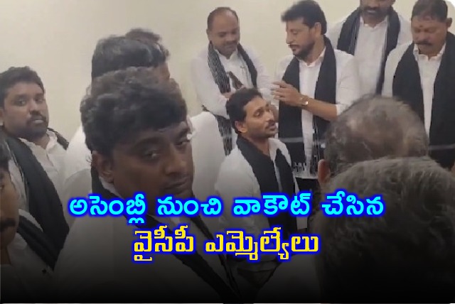 YCP MLAs  walk out from Assembly session