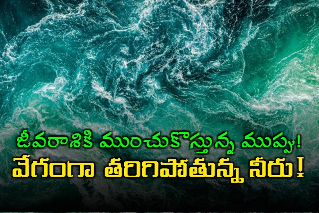 A new study has said that oxygen dissolved in worlds water bodies is dwindling rapidly