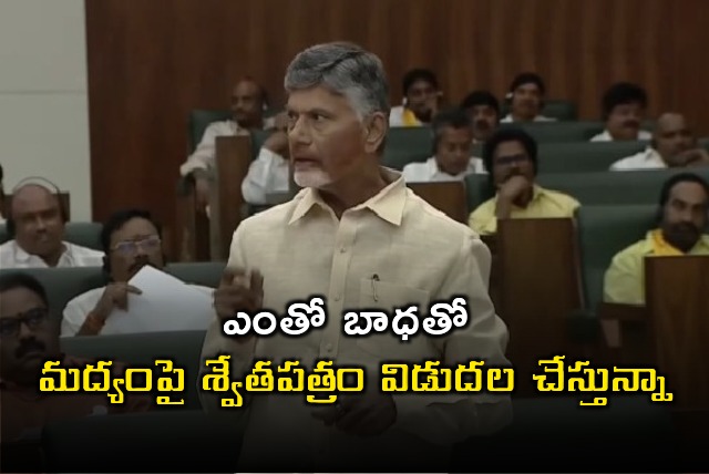 CM Chandrababu releases White Paper on Excise Policy