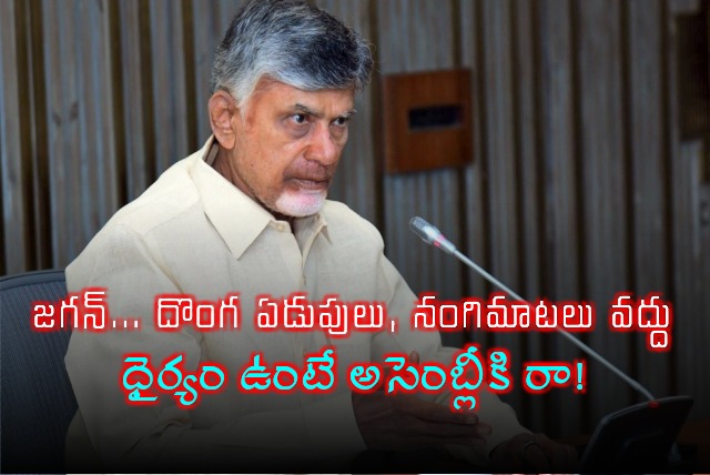 CM Chandrababu challenges Jagan