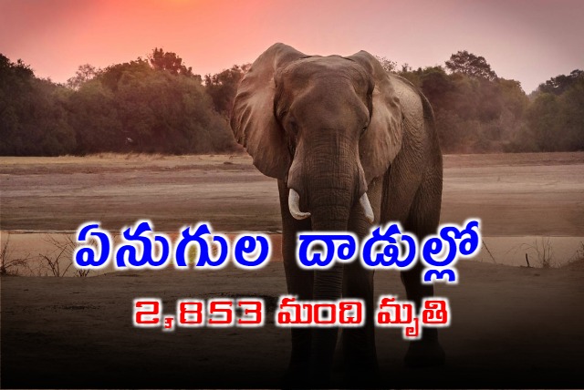 2853 died due to Elephant attacks in last 5 years