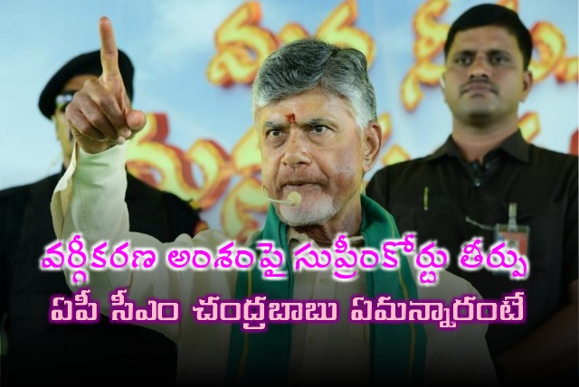 CM Chandrababu responds on Supreme Court verdict over reservations sub classification