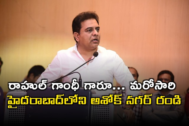 Why dont you come back to Ashok Nagar ktr to rahul gandhi