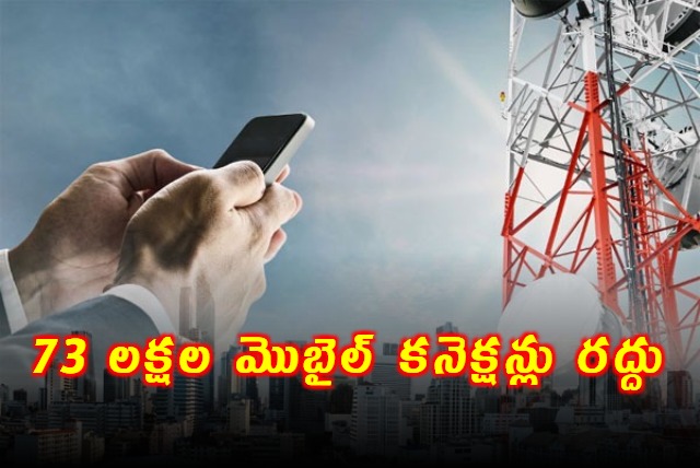 Telcos disconnected 73 lakh mobile connections failing reverification