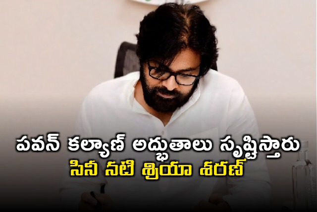 Actress Shriya Comments On Deputy CM Pawan Kalyan