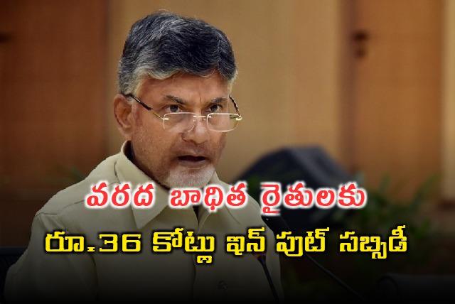 AP CM Chandrababu Pledge For Input Subsidy For Farmers