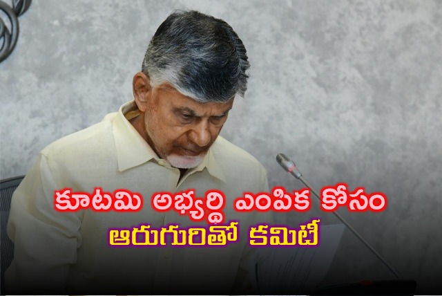 CM Chandrababu appoint a committee for Visakha MLC election 