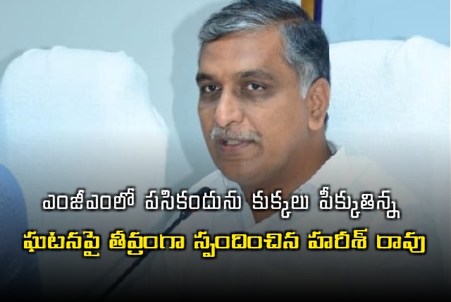 Harish Rao on dog bit in MGM