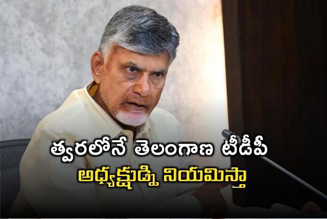 Chandrababu told soon TDP Telangana President will be appointed 