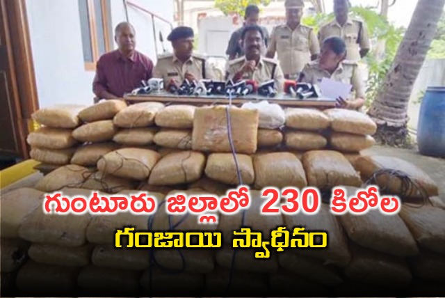 Guntur Police Siezed 230 Kilo Ganja 