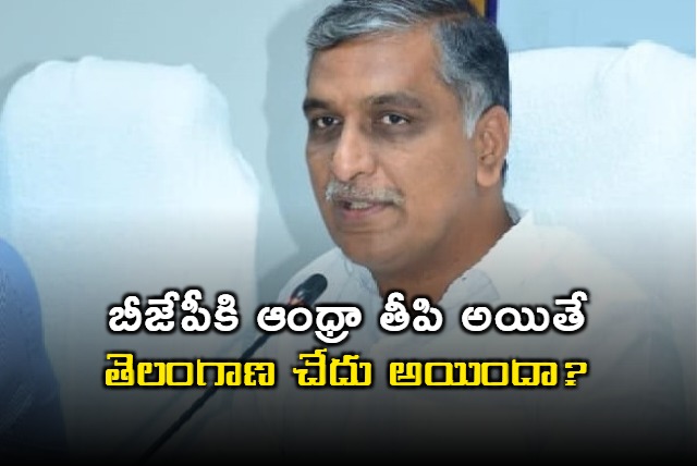 Harish Rao blames bjp comparing with AP