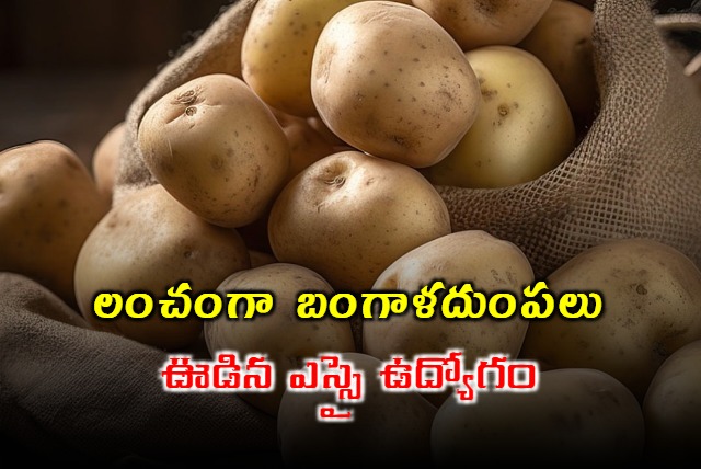 Cop suspended for asking for 5kg potatoes as bribe in Uttar Pradesh