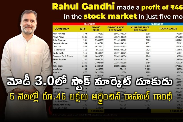 Rahul Gandhi made Rs 46 lakh profit in just 5 months 