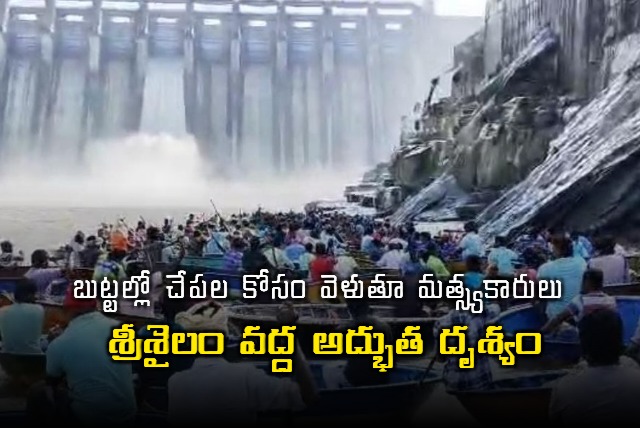 A captivating sight at Srisailam reservoir