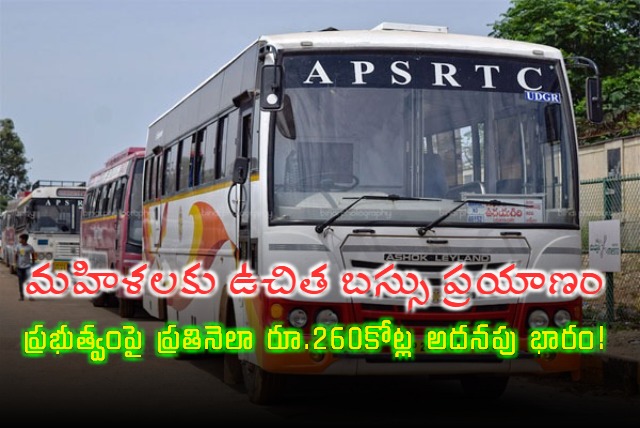 Report on Free Bus Facility for Women in Andhra Pradesh 