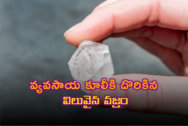 Agri labour found precious diamond 