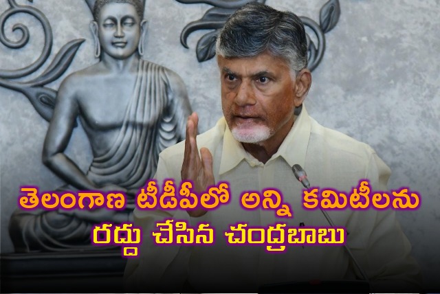 Chandrababu cancels all committees in Telangana TDP