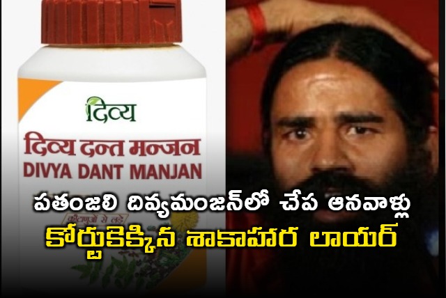 Court Slaps Notice To Patanjali Over Alleged Fish Extracts In Vegetarian Products