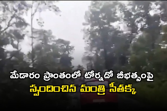 Minister Seethakka about trees uprooted in Mulug Districts