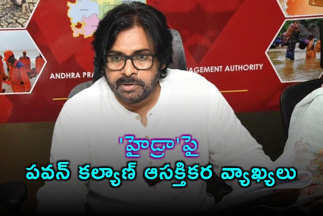 Pawan Kalyan interesing comments on HYDRA