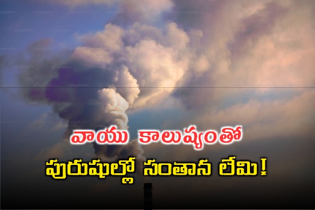 Study Finds Connection Between Air Pollution And Male Infertility