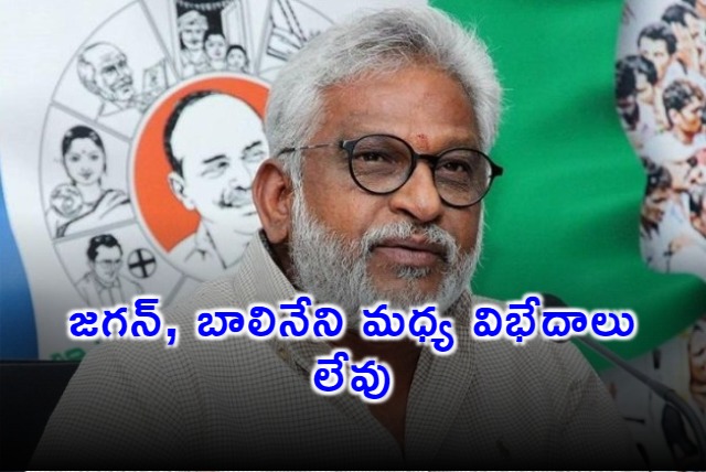 No differences between Jagan and Balineni says YV Subba Reddy