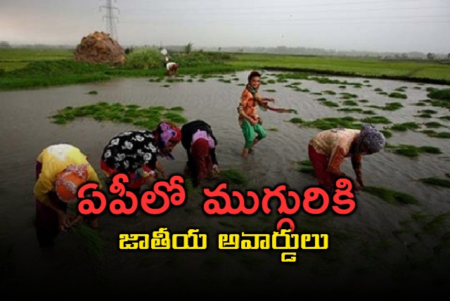 outlook awards for ap farmers