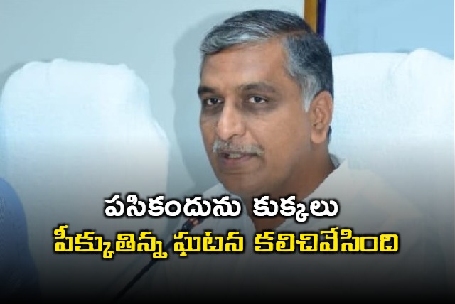 Harish Rao lashes out at dog bites