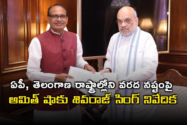 Shivaraj Singh gave report to Amit Shah on Ap telangana floods