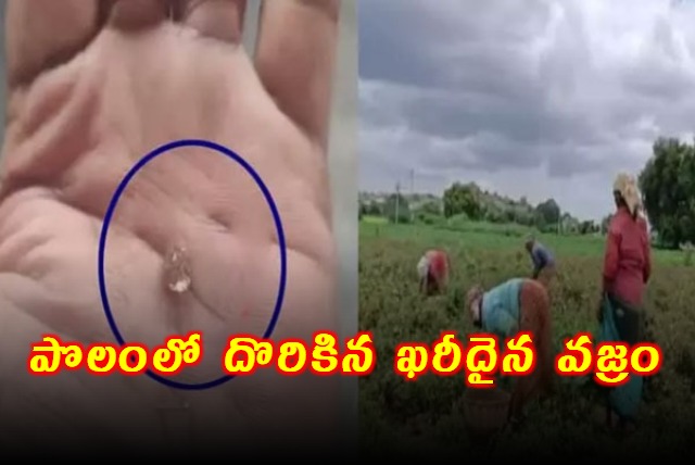 Tuggali Farmer of Kurnool District got a Diamond