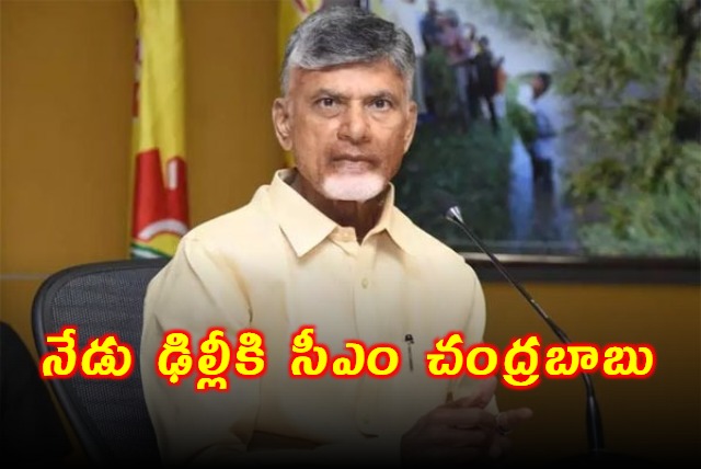 AP CM Chandrababu Naidu went to New Delhi