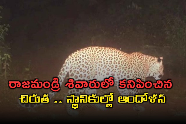 leopard tension in rajahmundry