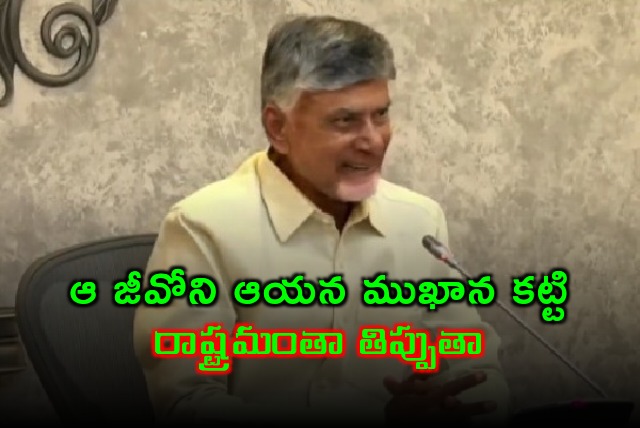 CM Chandrababu fires on YCP Chief Jagan 