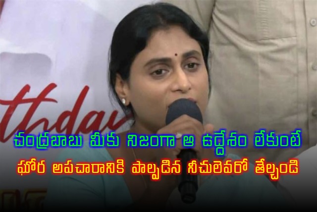 YS Sharmila Reacts CM Chandrababu Tirumala Laddu Animal Ghee Comments 