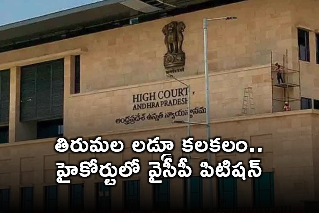 YCP Approached High Court on Tirupathi Laddu Controversy