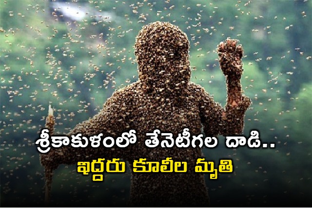 Two killed in wasp attack in Srikakulam