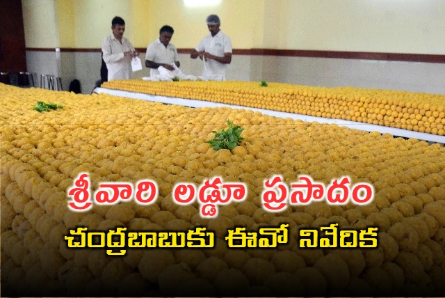 Tirumala Laddu Row TTD EO Shyamala Rao Gave Report To CM