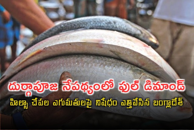 Bangladesh lifts hilsa export ban 