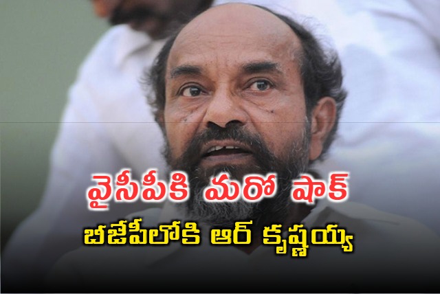 BC leader R Krishnaiah ready to quit YCP and will join in BJP