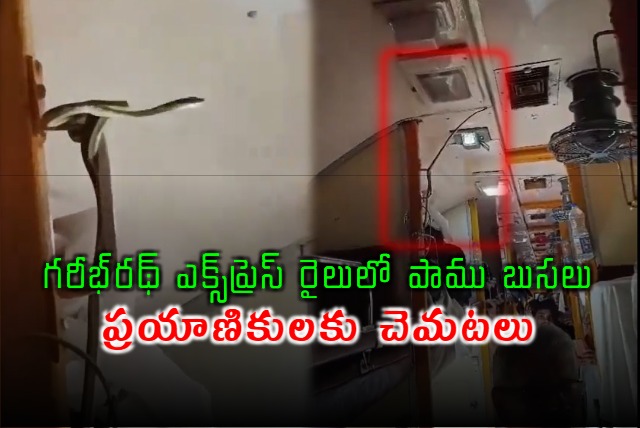 Snake In A Train Going To Mumbai Here Is Viral Video