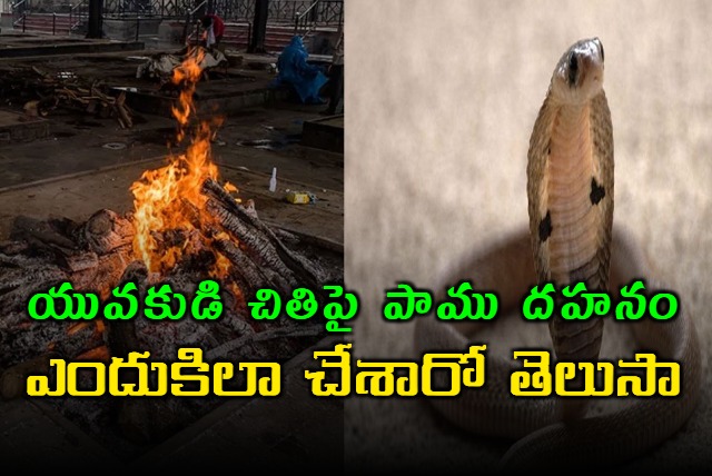 man died after a snake bite him in following which locals burnt the reptile alive on his funeral pyre