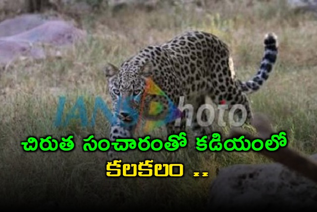 leopard migration in east godavari district