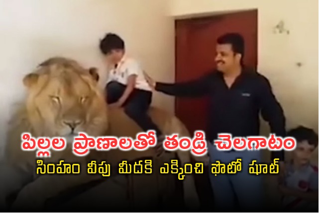 Man Plays With the Life of His Children Keeps Them on Lions Back for Photoshoot