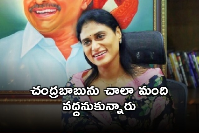 YS Sharmila on Chandrababu win in AP